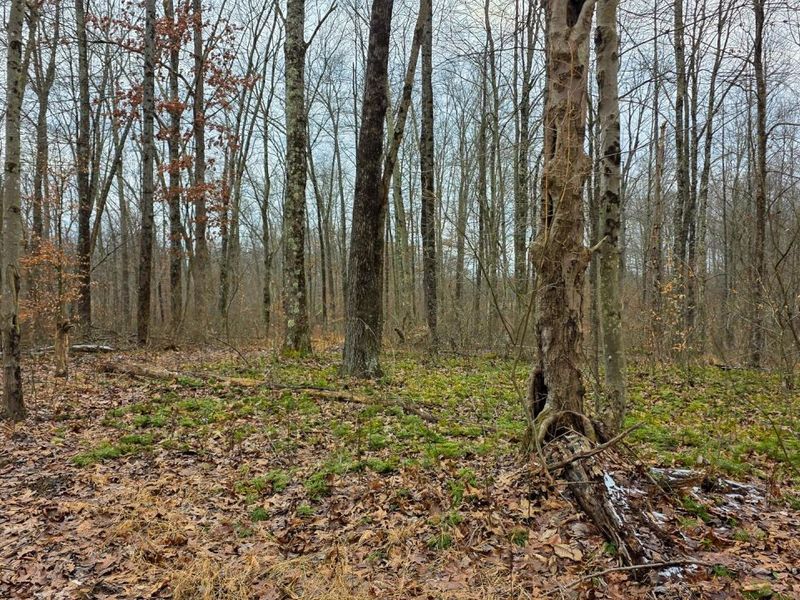 7893 Scenic Road SE, Unit (Lot 12 at, Corning, OH 43730 Photo 32