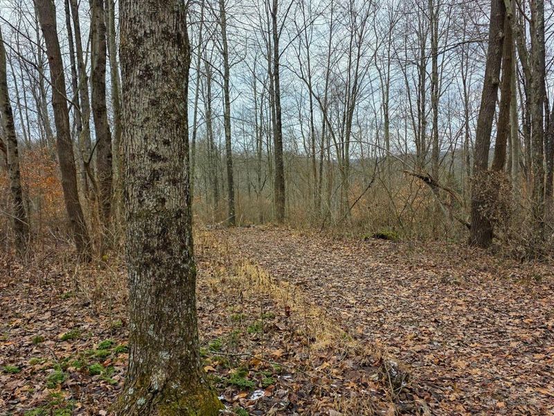 7893 Scenic Road SE, Unit (Lot 12 at, Corning, OH 43730 Photo 33