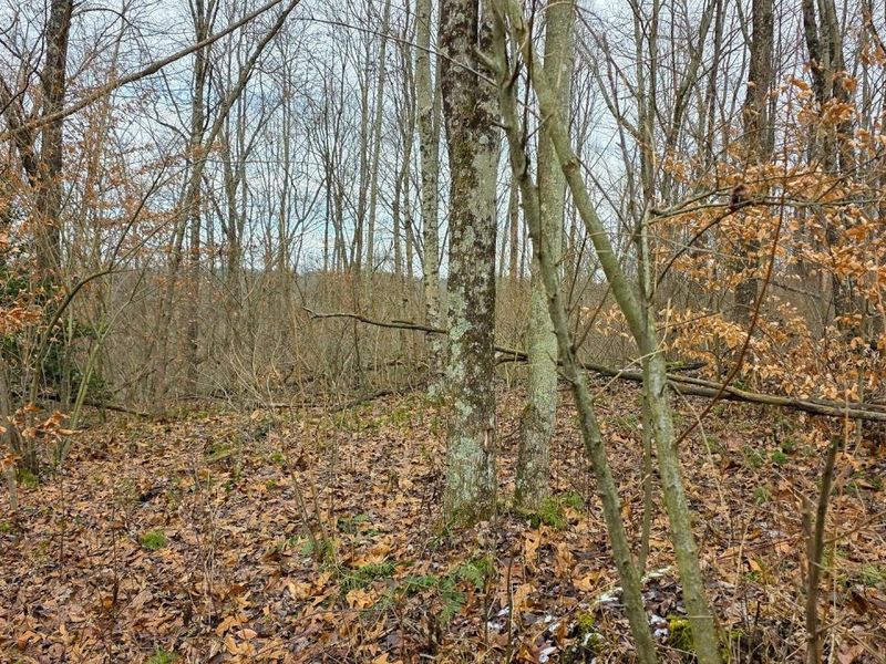 7893 Scenic Road SE, Unit (Lot 12 at, Corning, OH 43730 Photo 34