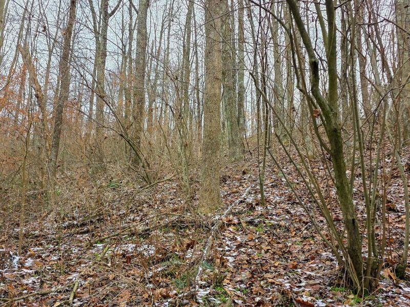 7893 Scenic Road SE, Unit (Lot 12 at, Corning, OH 43730 Photo 36