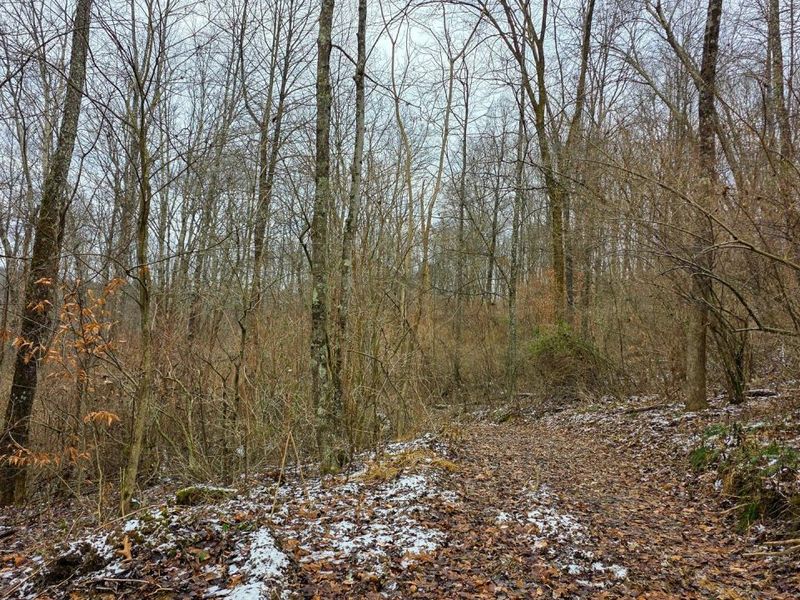 7893 Scenic Road SE, Unit (Lot 12 at, Corning, OH 43730 Photo 37