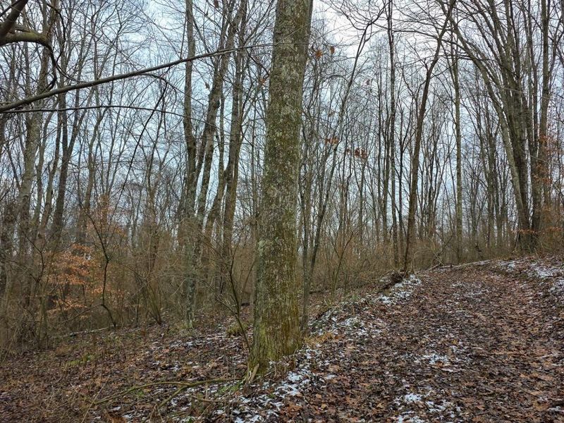 7893 Scenic Road SE, Unit (Lot 12 at, Corning, OH 43730 Photo 39