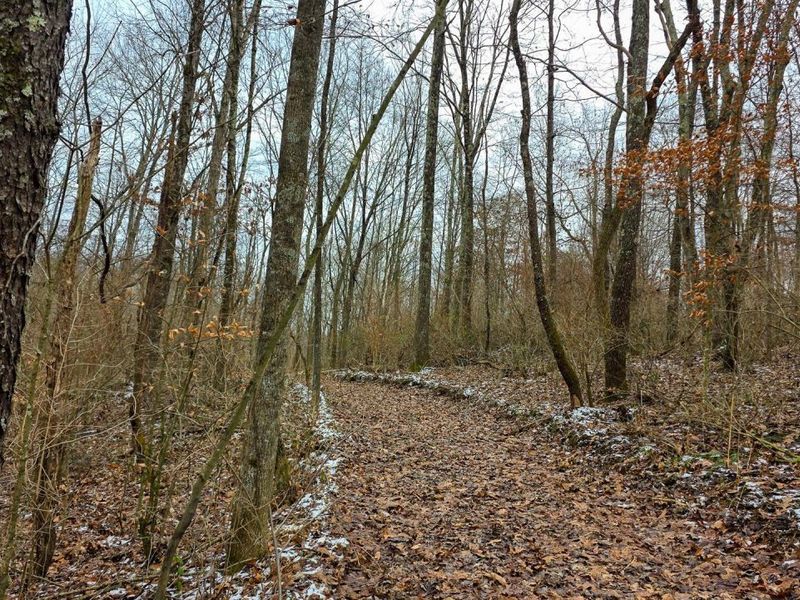 7893 Scenic Road SE, Unit (Lot 12 at, Corning, OH 43730 Photo 40