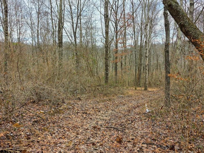 7893 Scenic Road SE, Unit (Lot 12 at, Corning, OH 43730 Photo 41