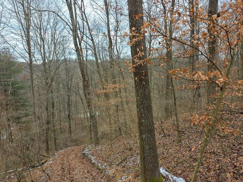 7893 Scenic Road SE, Unit (Lot 12 at, Corning, OH 43730 Photo 42