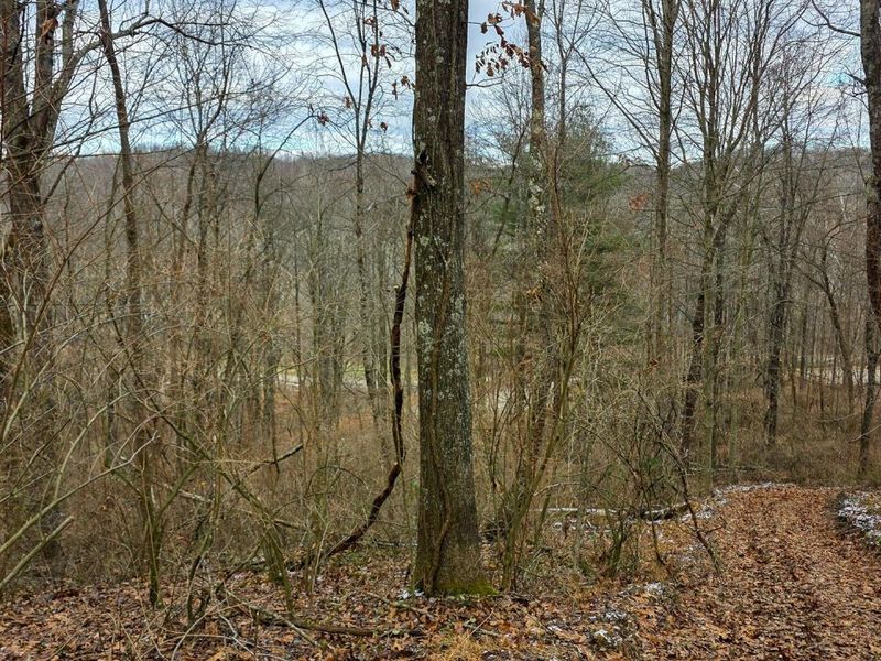 7893 Scenic Road SE, Unit (Lot 12 at, Corning, OH 43730 Photo 43