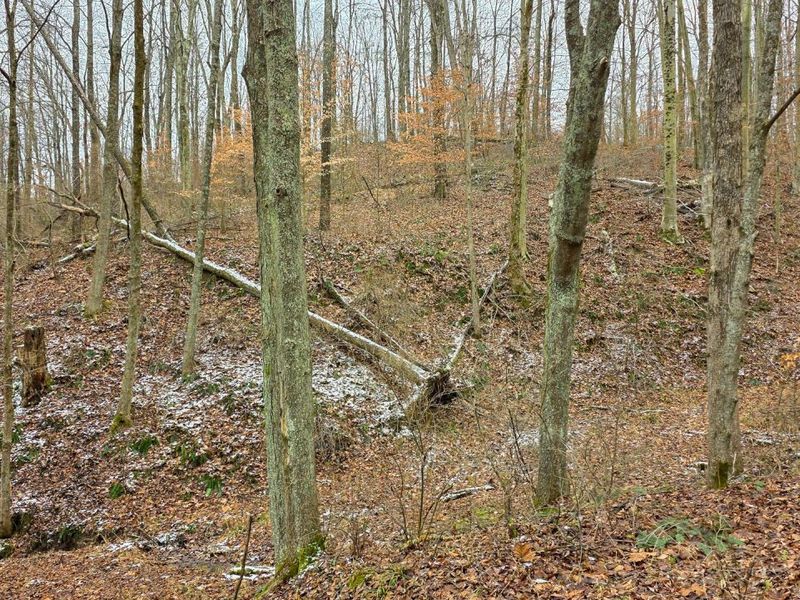 7893 Scenic Road SE, Unit (Lot 12 at, Corning, OH 43730 Photo 44