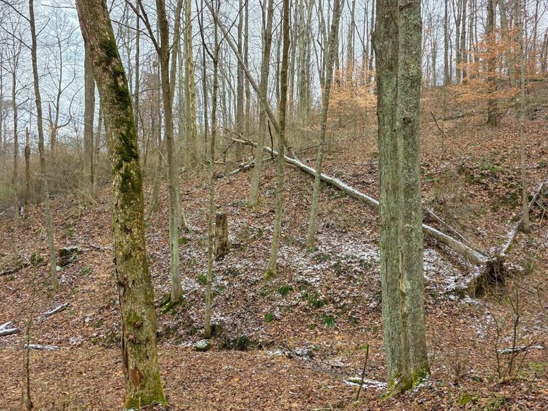 7893 Scenic Road SE, Unit (Lot 12 at, Corning, OH 43730 Photo 45