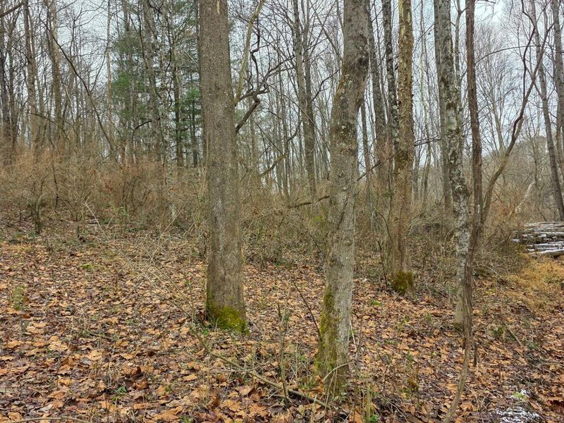 7893 Scenic Road SE, Unit (Lot 12 at, Corning, OH 43730 Photo 46