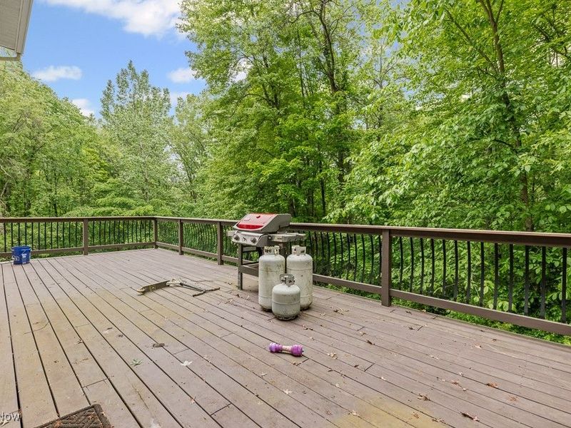 13109 Edison Street NE, Alliance, OH 44601 Photo 44