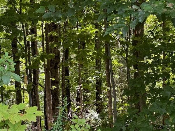 VT Route 14, Albany, VT 05820