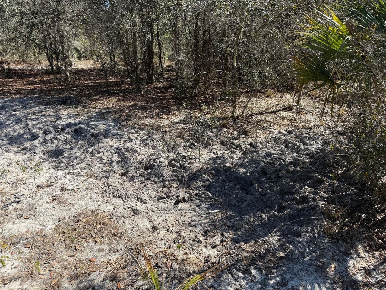 114 Sisco Road, Pomona Park, FL 32181 Photo