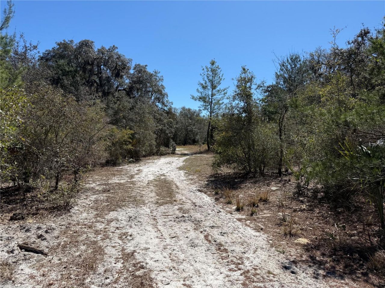 114 Sisco Road, Pomona Park, FL 32181 Photo