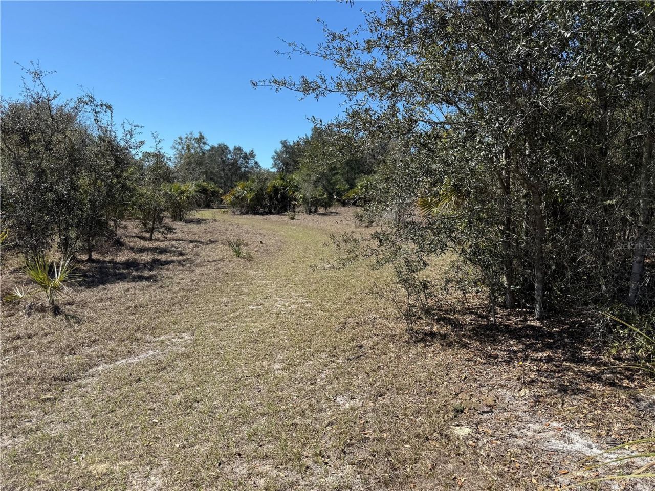 114 Sisco Road, Pomona Park, FL 32181 Photo