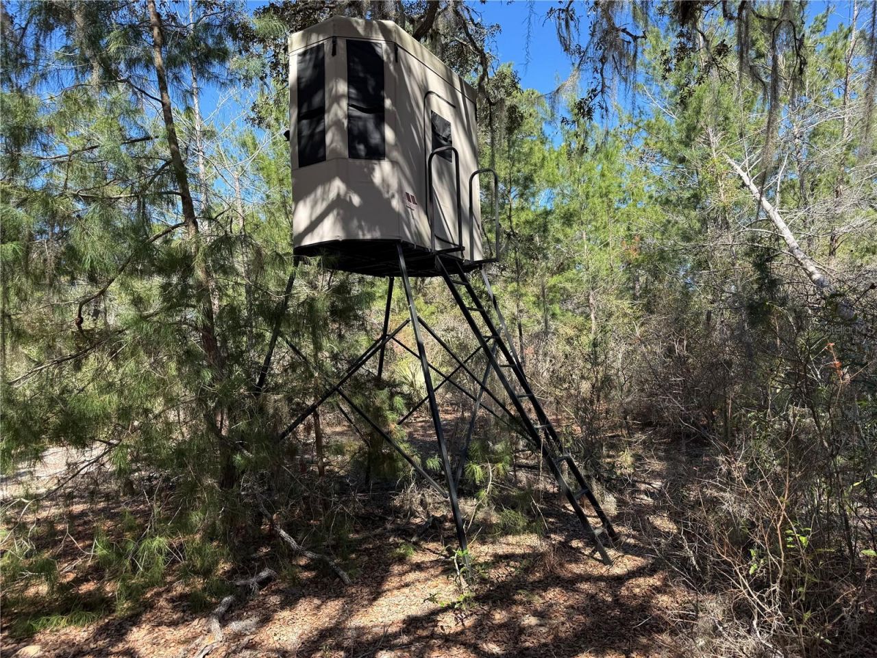 114 Sisco Road, Pomona Park, FL 32181 Photo