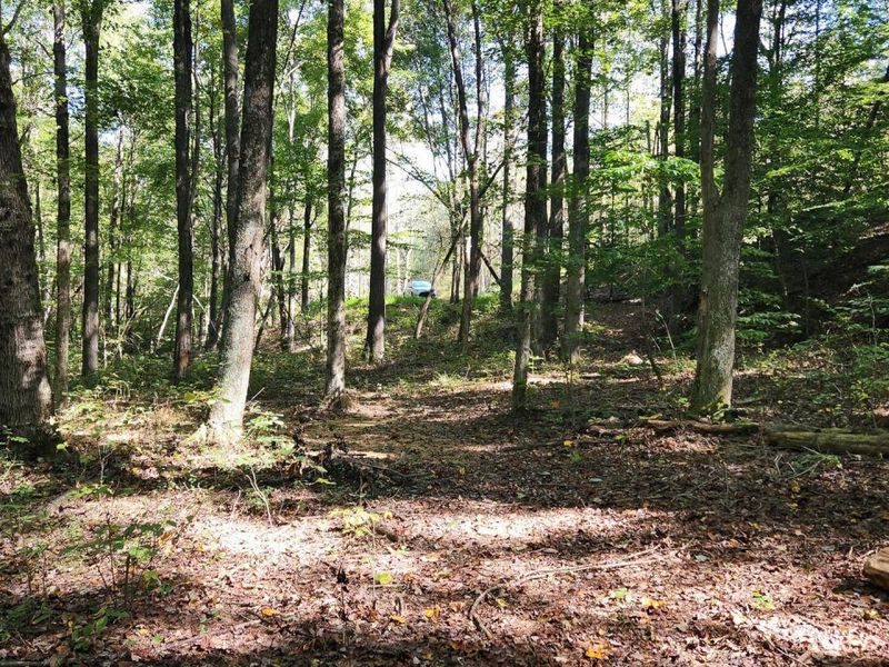 871 Poplar Ridge Road, Unit (Ponds Pop, Gallipolis, OH 45631 Photo 10