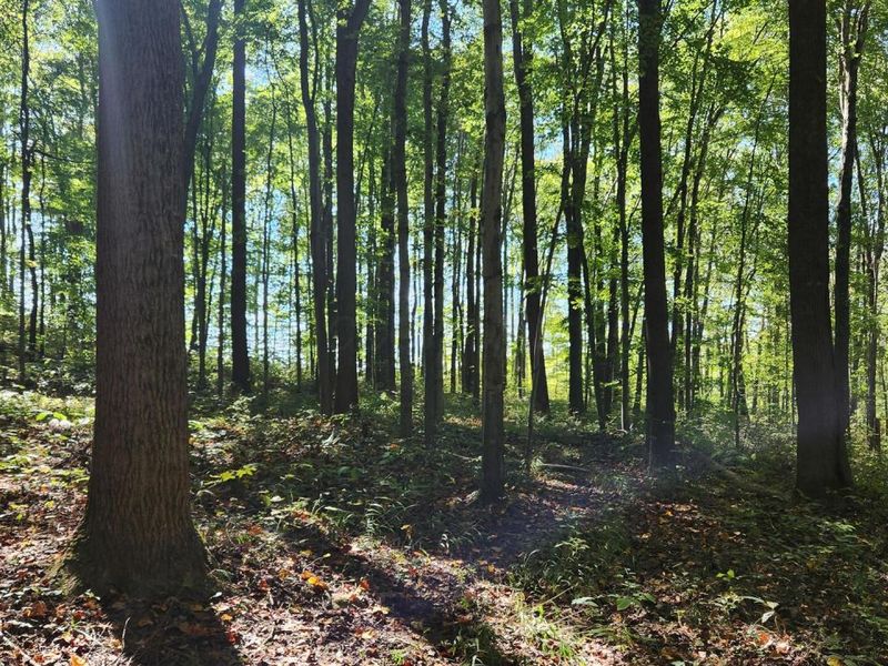 871 Poplar Ridge Road, Unit (Ponds Pop, Gallipolis, OH 45631 Photo 11