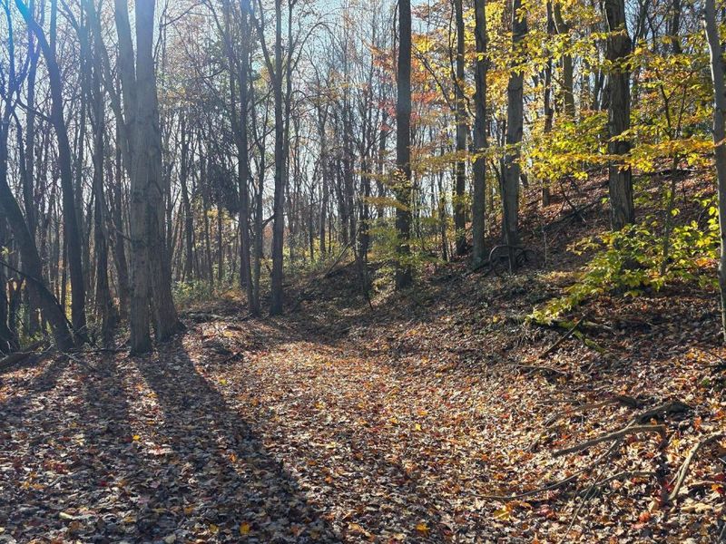 871 Poplar Ridge Road, Unit (Ponds Pop, Gallipolis, OH 45631 Photo 12