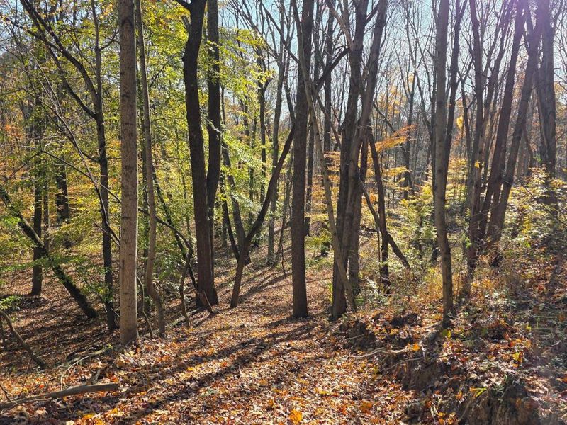 871 Poplar Ridge Road, Unit (Ponds Pop, Gallipolis, OH 45631 Photo 13