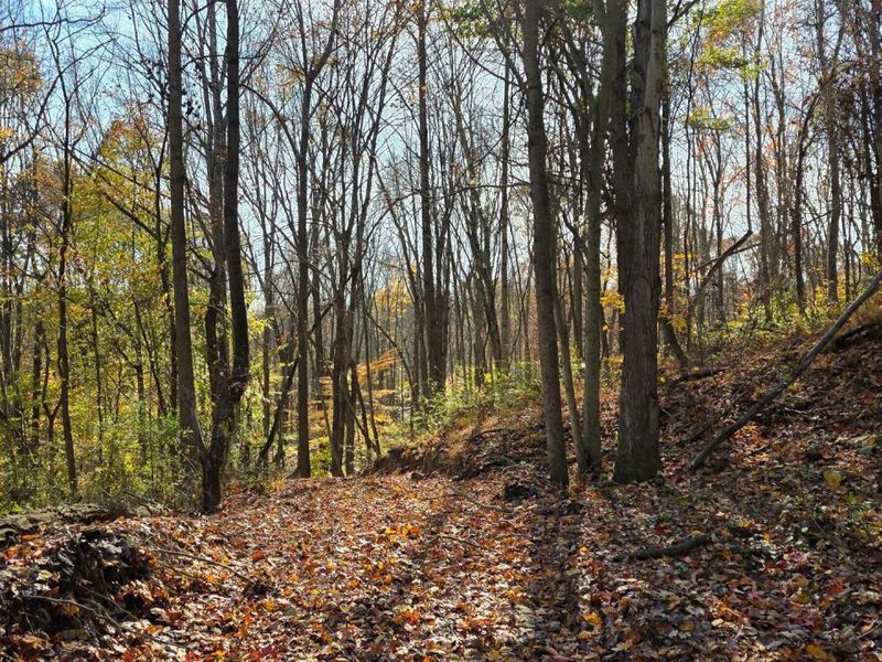 871 Poplar Ridge Road, Unit (Ponds Pop, Gallipolis, OH 45631 Photo 14