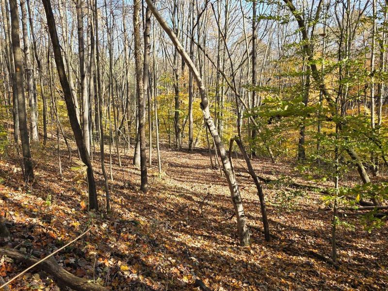 871 Poplar Ridge Road, Unit (Ponds Pop, Gallipolis, OH 45631 Photo 15