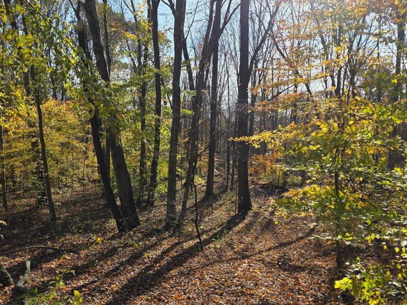 871 Poplar Ridge Road, Unit (Ponds Pop, Gallipolis, OH 45631 Photo 16