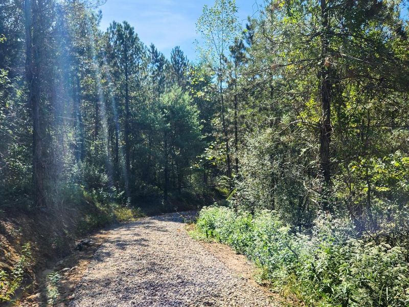 871 Poplar Ridge Road, Unit (Ponds Pop, Gallipolis, OH 45631 Photo 18