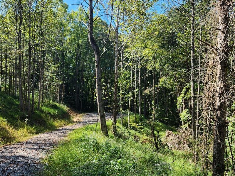 871 Poplar Ridge Road, Unit (Ponds Pop, Gallipolis, OH 45631 Photo 2