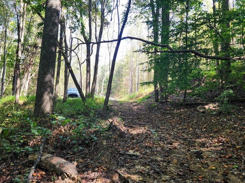 871 Poplar Ridge Road, Unit (Ponds Pop, Gallipolis, OH 45631 Photo 21