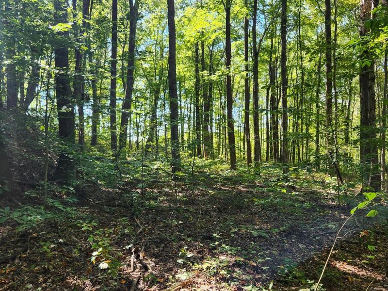 871 Poplar Ridge Road, Unit (Ponds Pop, Gallipolis, OH 45631 Photo 22