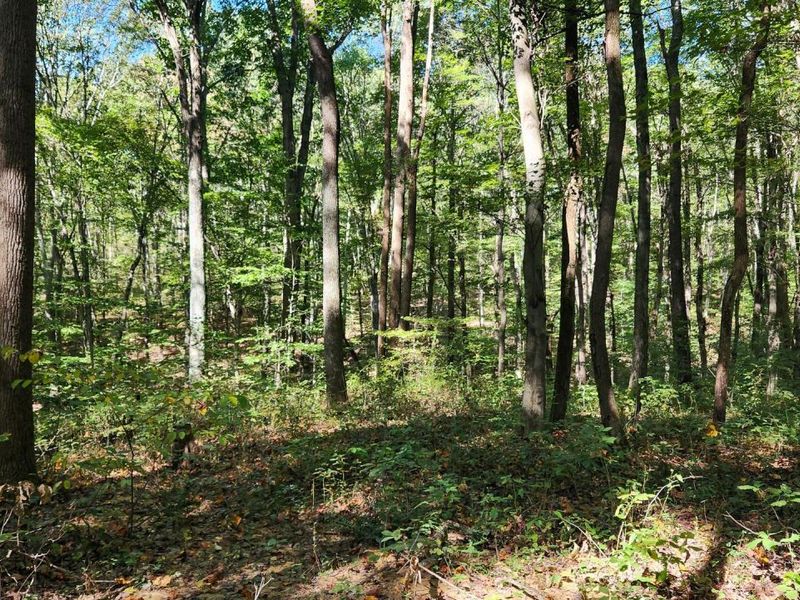 871 Poplar Ridge Road, Unit (Ponds Pop, Gallipolis, OH 45631 Photo 23