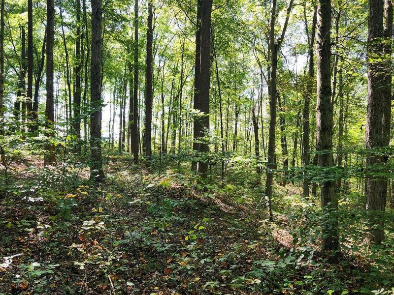 871 Poplar Ridge Road, Unit (Ponds Pop, Gallipolis, OH 45631 Photo 24