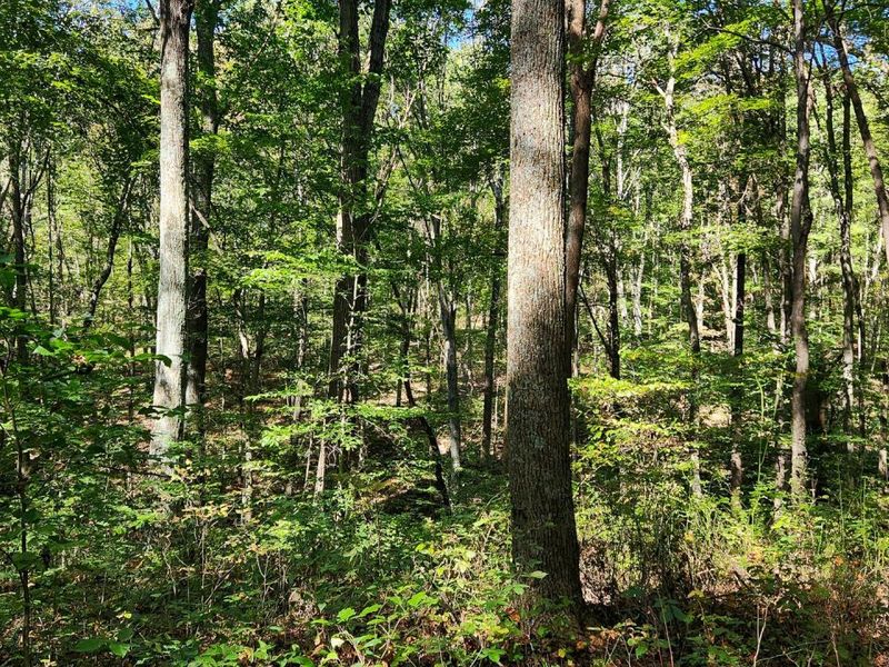 871 Poplar Ridge Road, Unit (Ponds Pop, Gallipolis, OH 45631 Photo 25