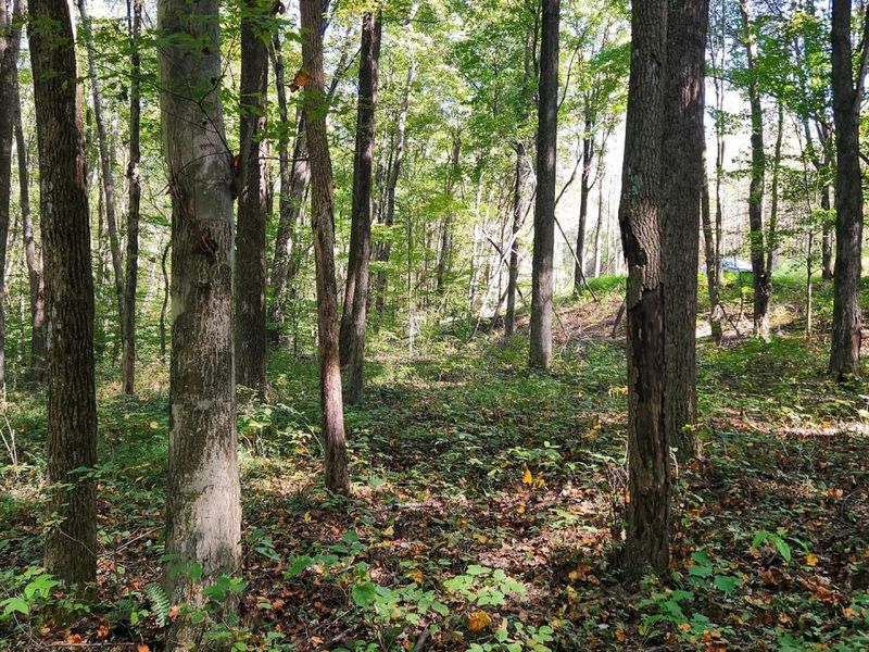 871 Poplar Ridge Road, Unit (Ponds Pop, Gallipolis, OH 45631 Photo 26