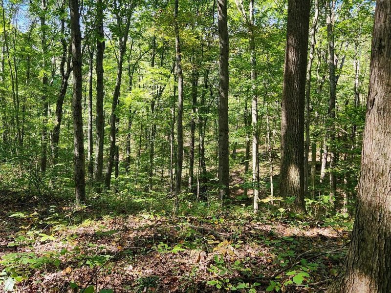 871 Poplar Ridge Road, Unit (Ponds Pop, Gallipolis, OH 45631 Photo 27