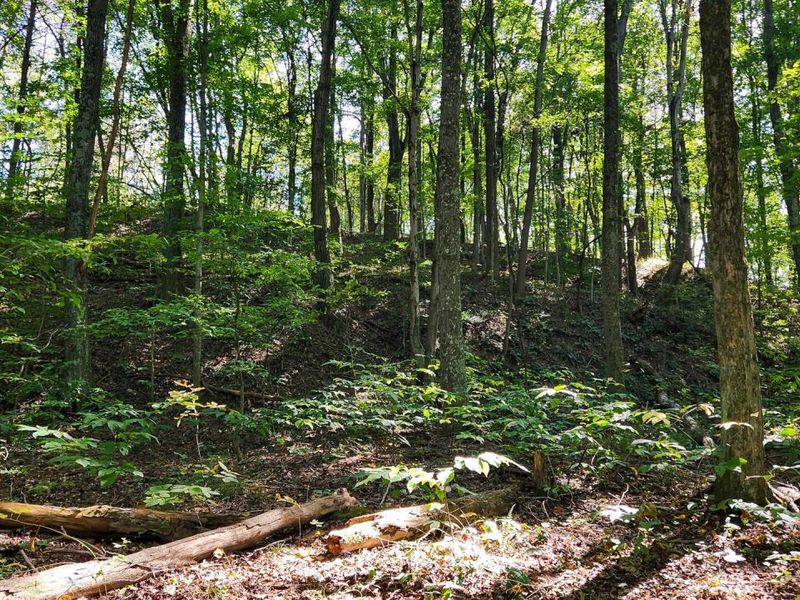 871 Poplar Ridge Road, Unit (Ponds Pop, Gallipolis, OH 45631 Photo 28