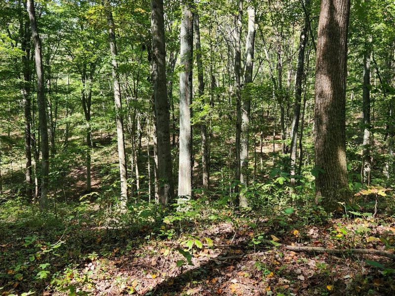 871 Poplar Ridge Road, Unit (Ponds Pop, Gallipolis, OH 45631 Photo 29