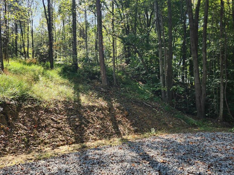 871 Poplar Ridge Road, Unit (Ponds Pop, Gallipolis, OH 45631 Photo 3