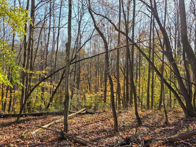 871 Poplar Ridge Road, Unit (Ponds Pop, Gallipolis, OH 45631 Photo 30