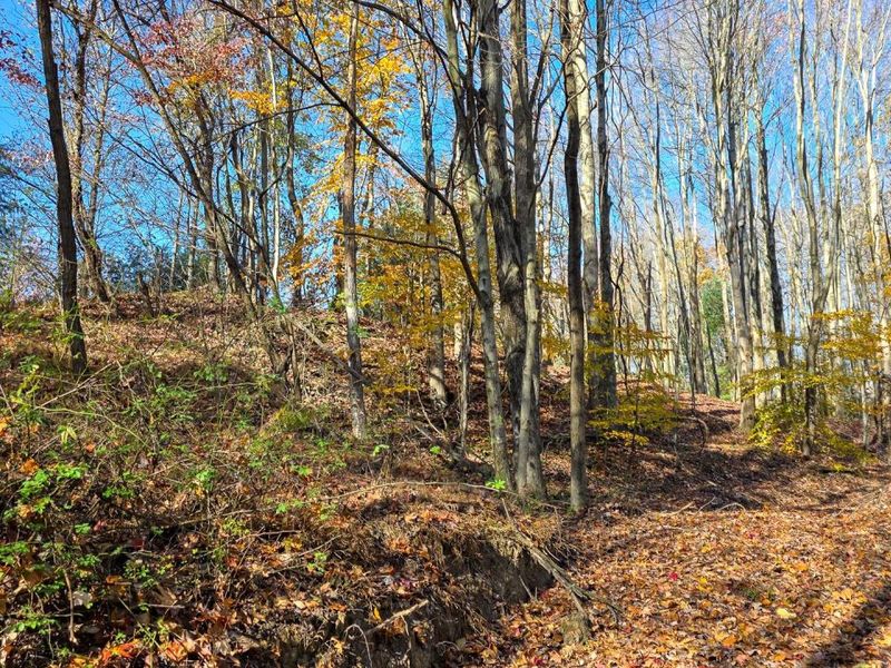 871 Poplar Ridge Road, Unit (Ponds Pop, Gallipolis, OH 45631 Photo 31