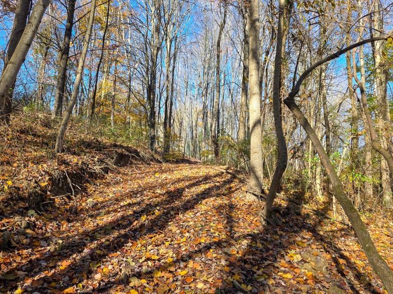 871 Poplar Ridge Road, Unit (Ponds Pop, Gallipolis, OH 45631 Photo 32