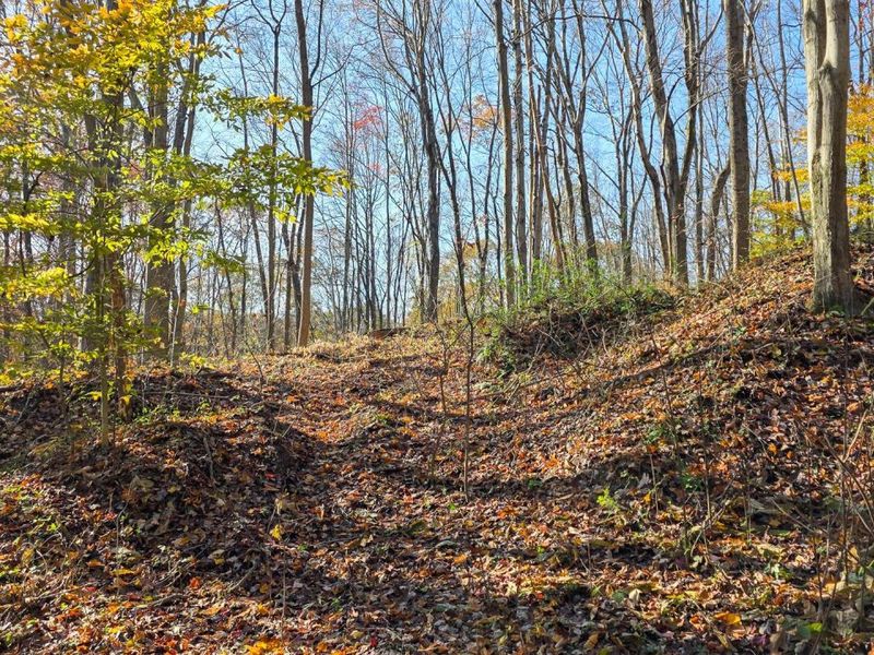 871 Poplar Ridge Road, Unit (Ponds Pop, Gallipolis, OH 45631 Photo 33