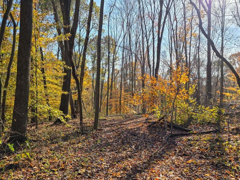 871 Poplar Ridge Road, Unit (Ponds Pop, Gallipolis, OH 45631 Photo 35