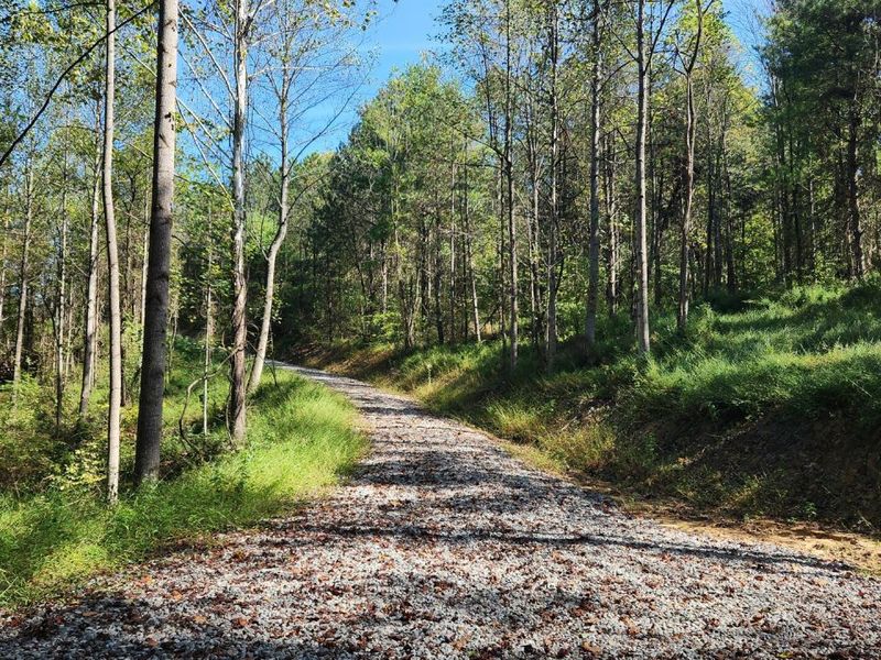 871 Poplar Ridge Road, Unit (Ponds Pop, Gallipolis, OH 45631 Photo 5