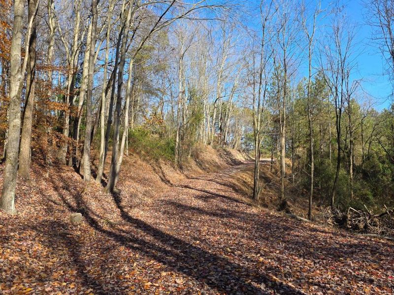 871 Poplar Ridge Road, Unit (Ponds Pop, Gallipolis, OH 45631 Photo 6