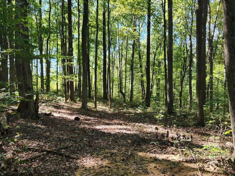 871 Poplar Ridge Road, Unit (Ponds Pop, Gallipolis, OH 45631 Photo 8