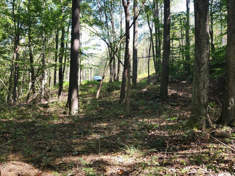 871 Poplar Ridge Road, Unit (Ponds Pop, Gallipolis, OH 45631 Photo 9