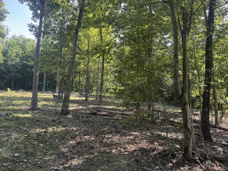 5305 Clines Chapel Road , Unit (Tract 15 , Waverly, OH 45690 Photo 13