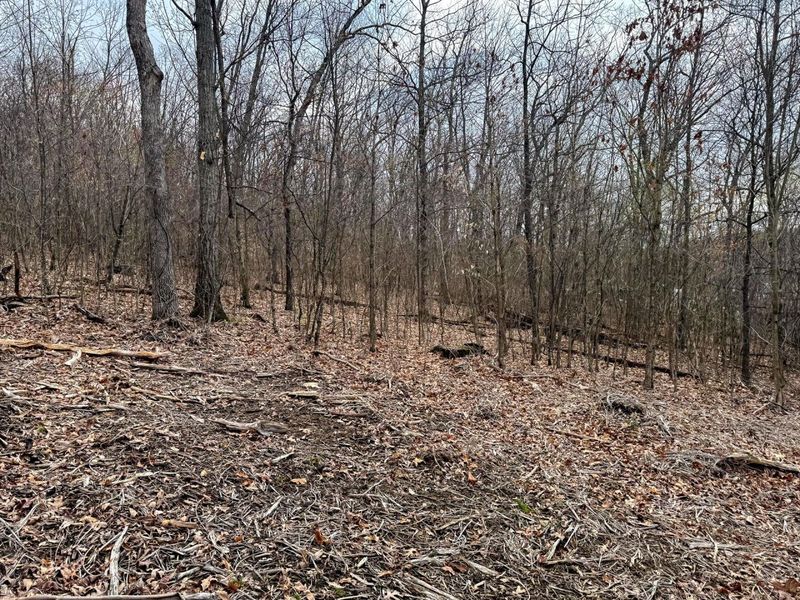 5305 Clines Chapel Road , Unit (Tract 15 , Waverly, OH 45690 Photo 14