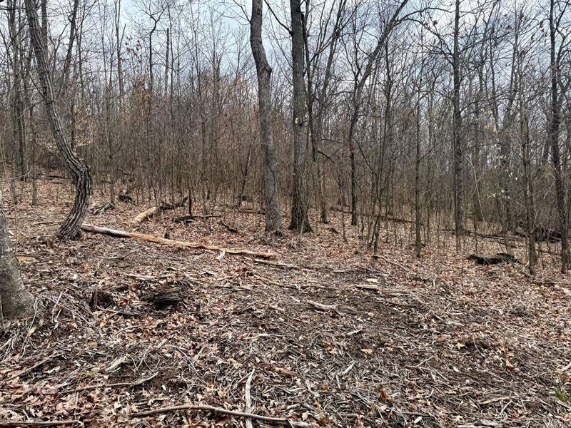 5305 Clines Chapel Road , Unit (Tract 15 , Waverly, OH 45690 Photo 15